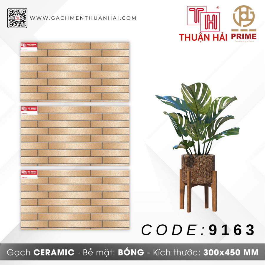 GẠCH TRANG TRÍ 30x45 PRIME 9163