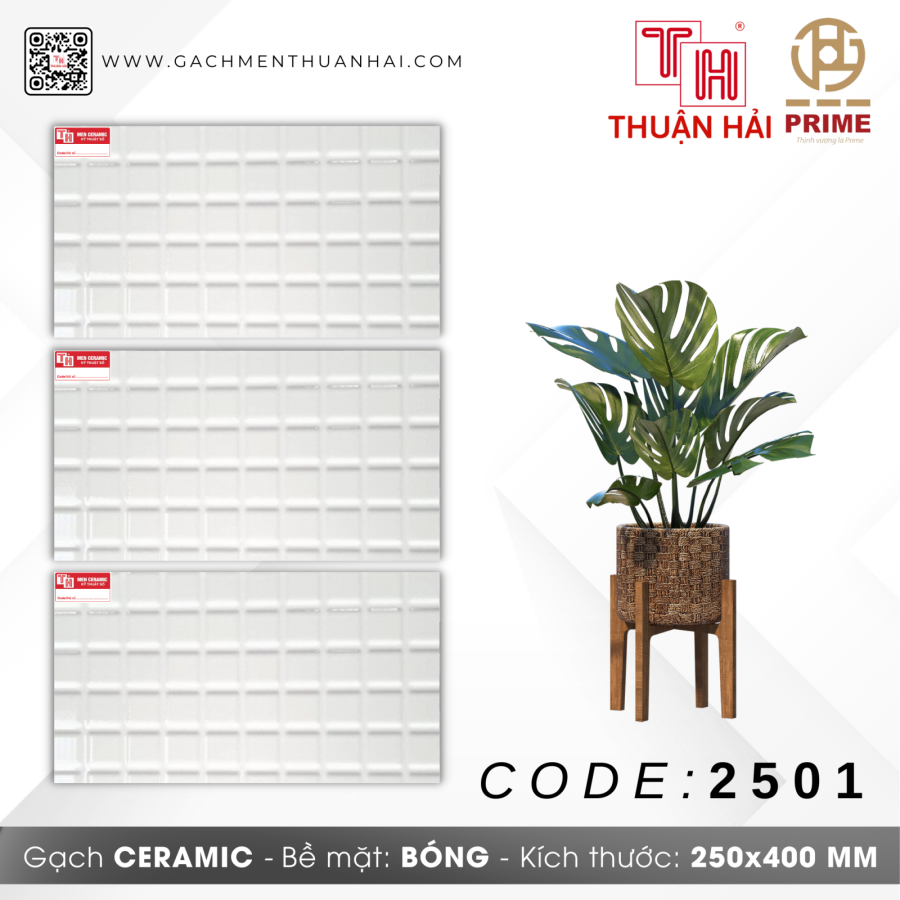 GẠCH TRANG TRÍ 25x40 PRIME 2501