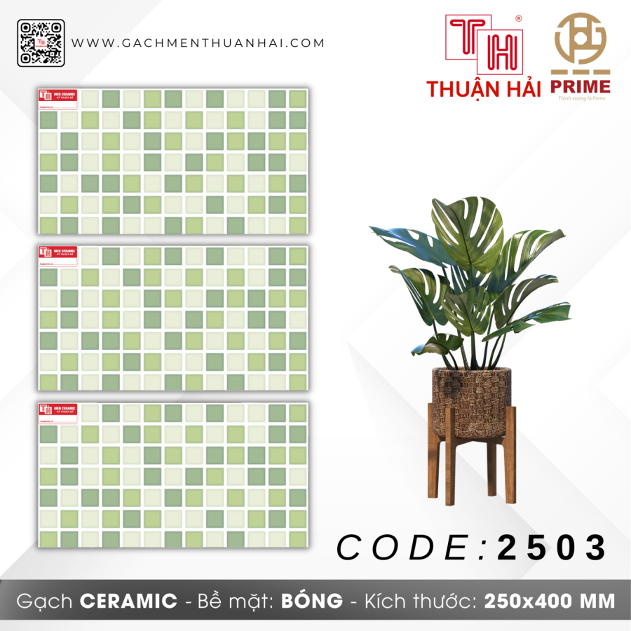GẠCH TRANG TRÍ 25x40 PRIME 2503