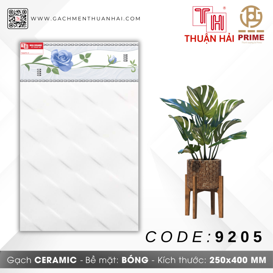 GẠCH TRANG TRÍ 25x40 PRIME 9205