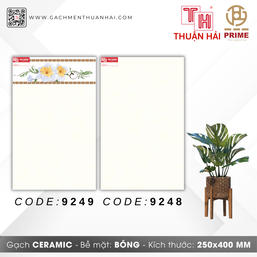 GẠCH TRANG TRÍ 25x40 PRIME 9249 - 9248