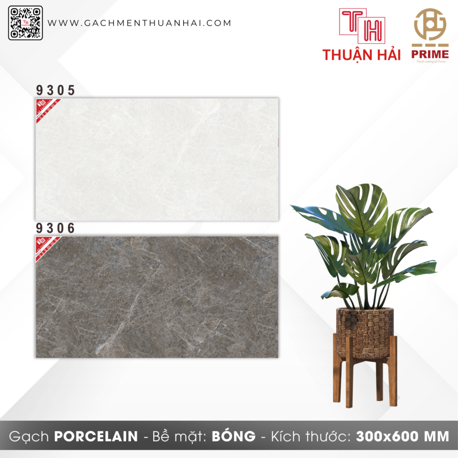 GẠCH ỐP TƯỜNG 30x60 PRIME 9305 - 9306