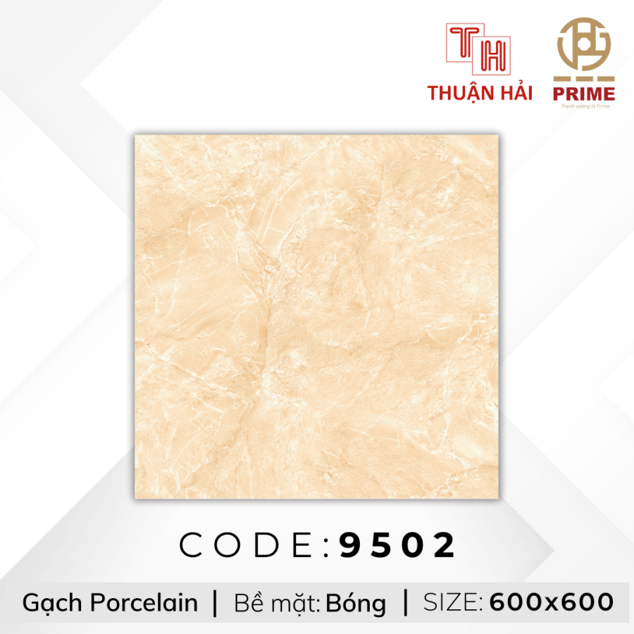GẠCH LÁT NỀN 60x60 PRIME 9502