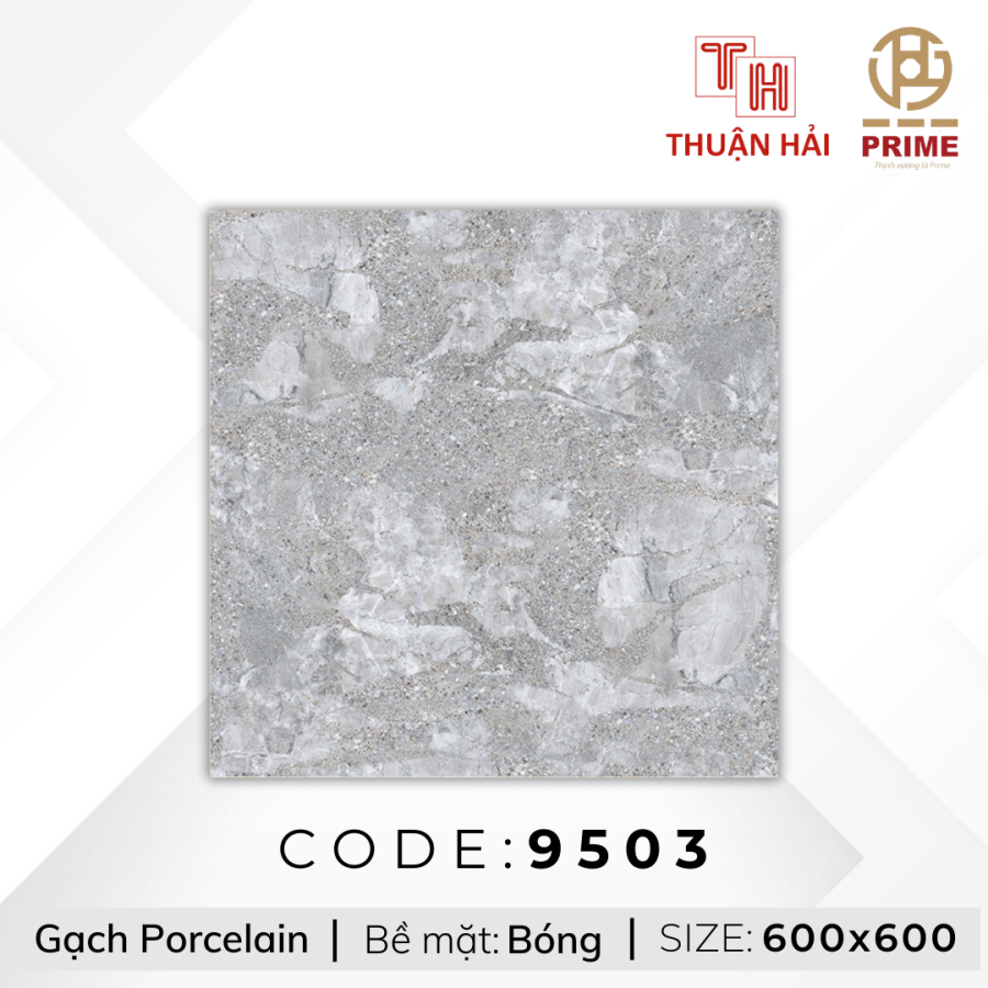 GẠCH LÁT NỀN 60x60 PRIME 9503