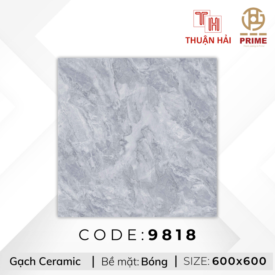 GẠCH LÁT NỀN 60x60 PRIME 9818