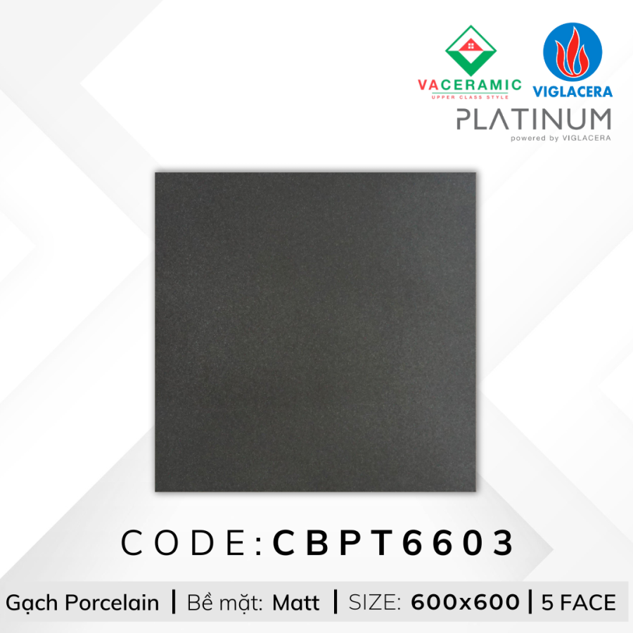 GẠCH LÁT NỀN 60x60 VIGLACERA CBPT6603