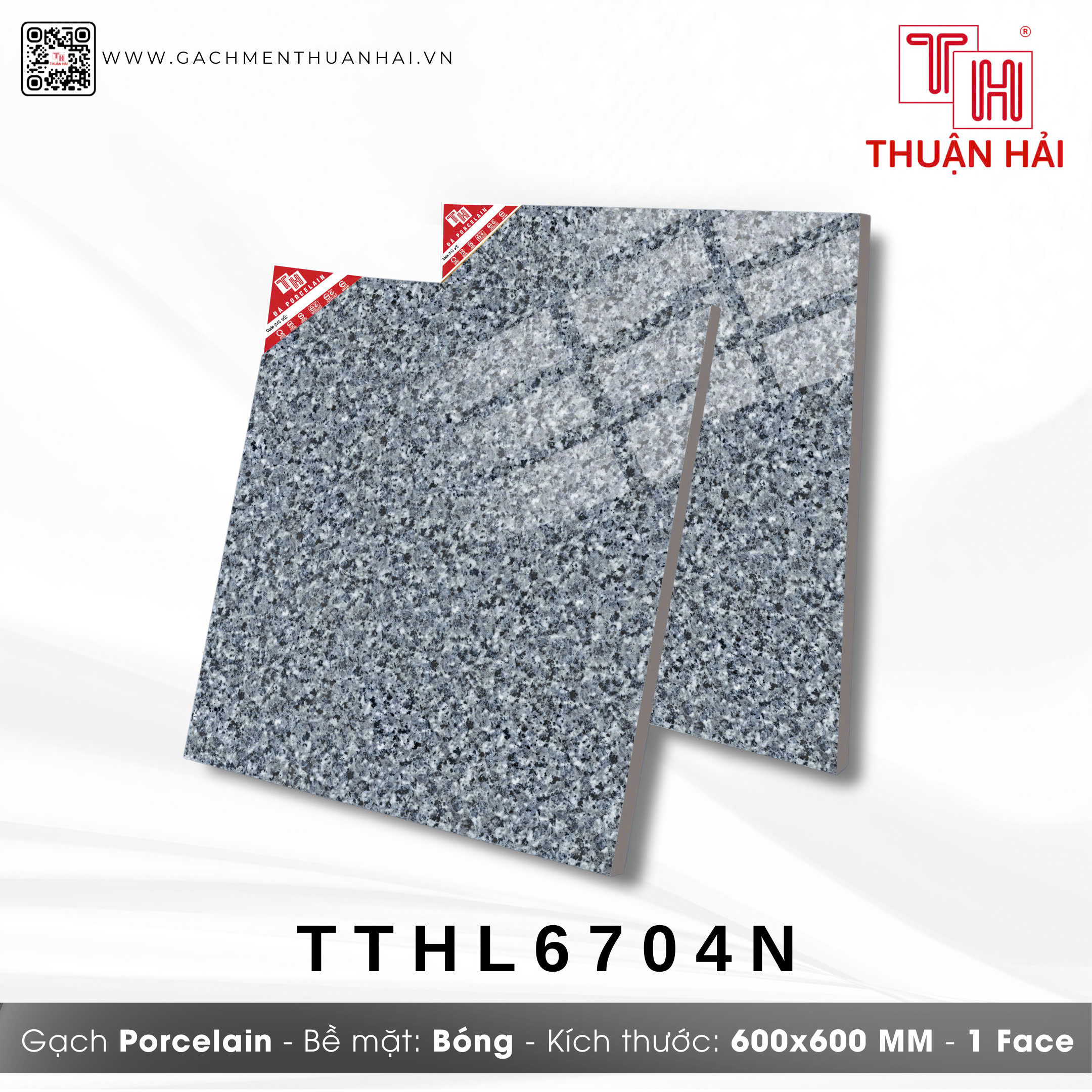 GẠCH LÁT NỀN 60x60 HÀ THANH 6704N