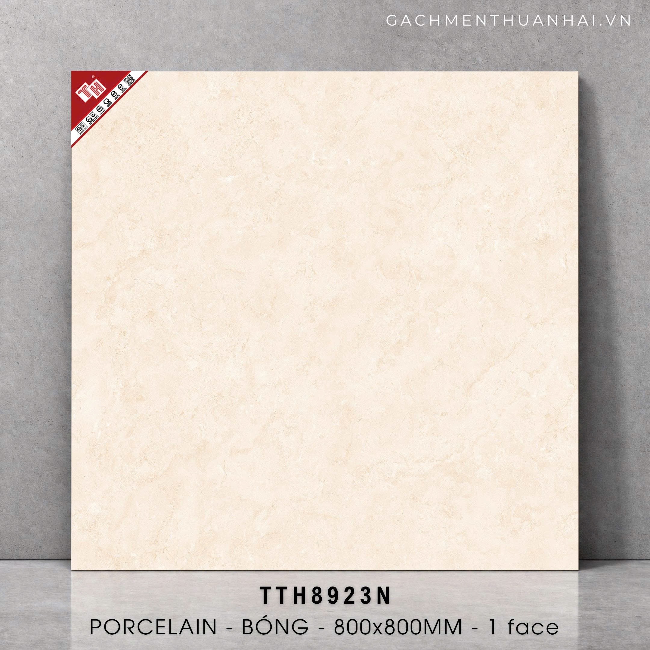 GẠCH LÁT NỀN 80x80 HÀ THANH 8923N